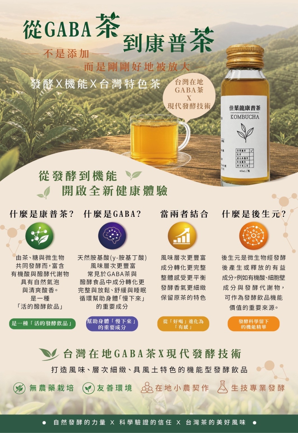 GABA 康普茶
